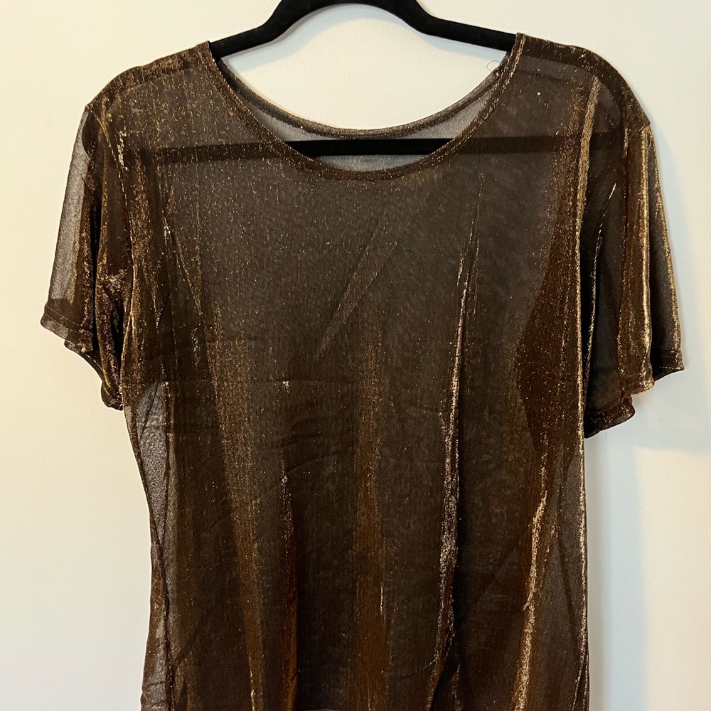 Sheer Metallic Brown Top